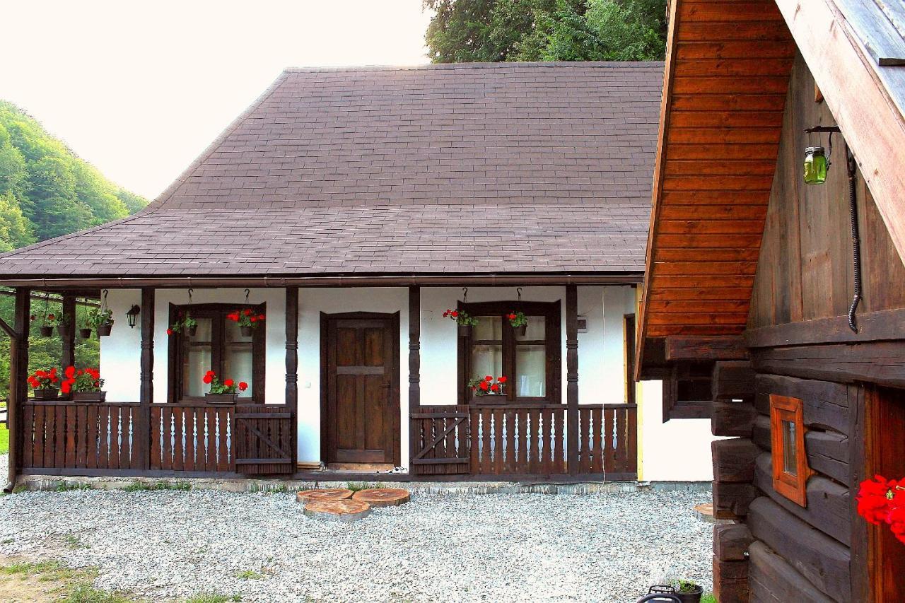 Villa Casuta Din Valea Regilor Gradistea de Munte Exterior foto