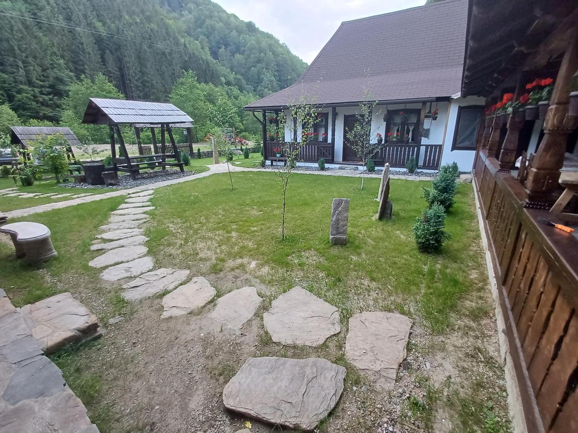 Villa Casuta Din Valea Regilor Gradistea de Munte Exterior foto